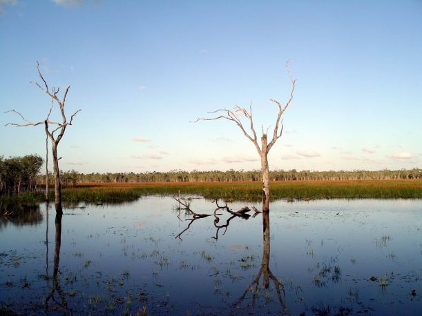 Resize of 08-30-2005 47 Jabiru 4.JPG