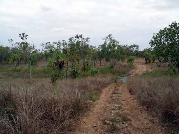 Resize of 09-10-2005 29 Ford.JPG