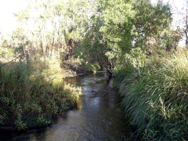 08-01-2005 04 camp creek morning.JPG