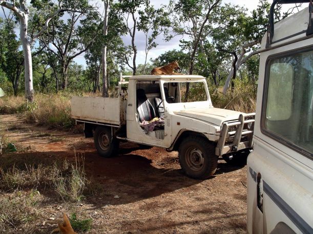 Resize of 06-03-2005 02 Ding Guard 2