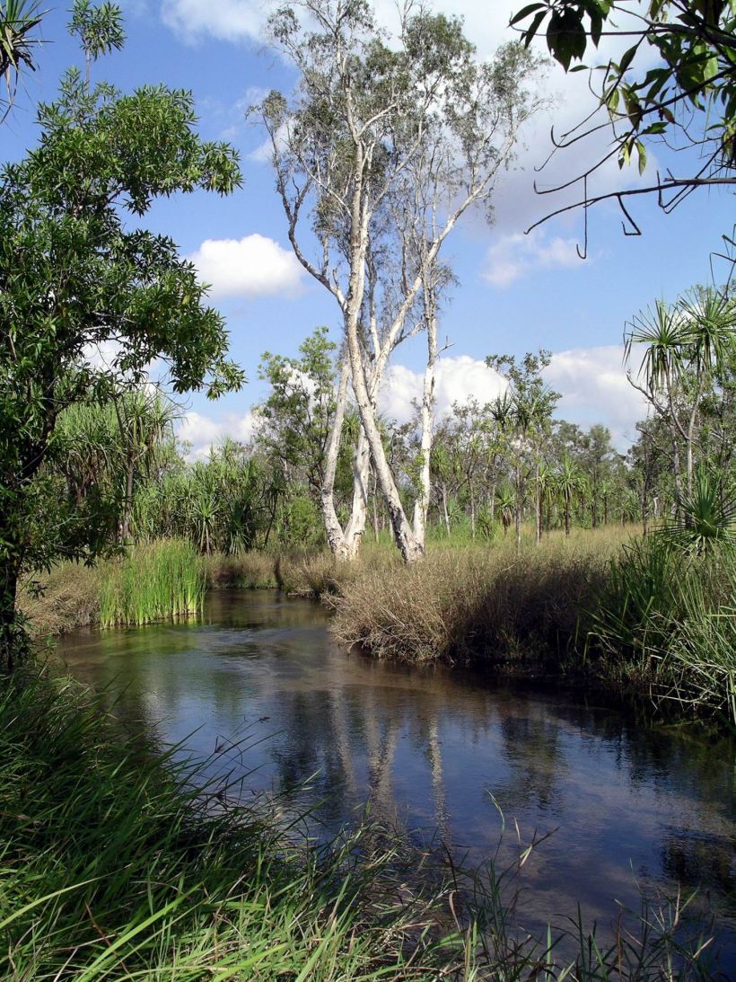 Resize of 06-18-2005 14 Camp Creek Walk 8