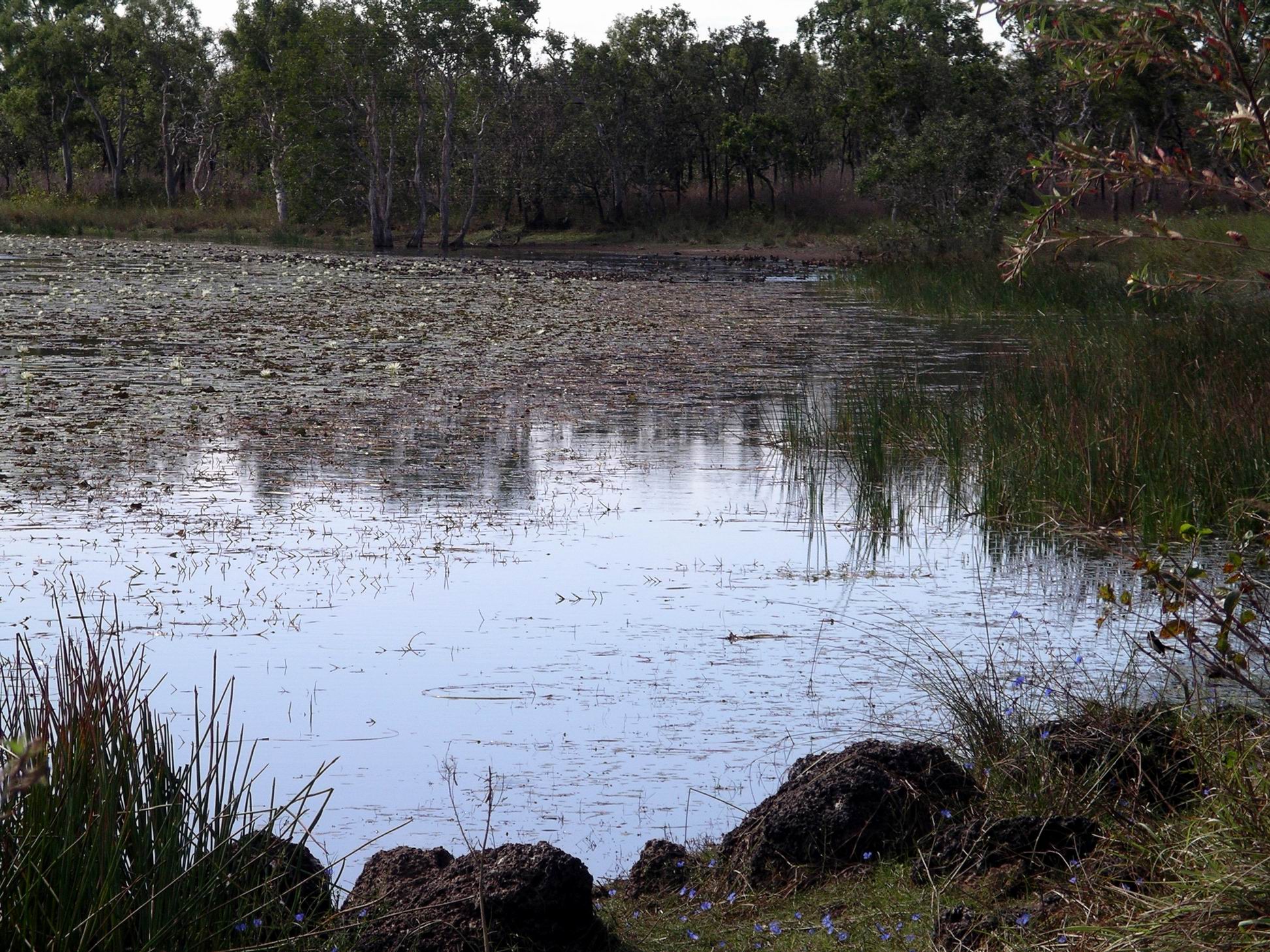 Resize of 06-26-2005 14 Stinking Lagoon 2