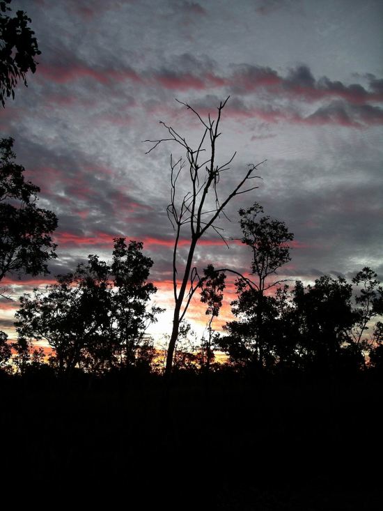 Resize of 07-02-2005 11 July Sky 12