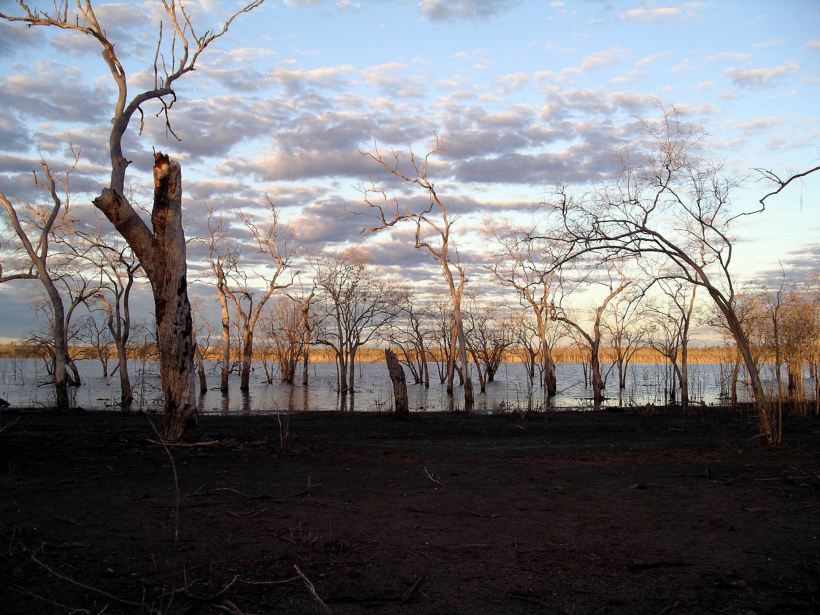 Resize of 07-21-2005 06 July Wet Lands 4