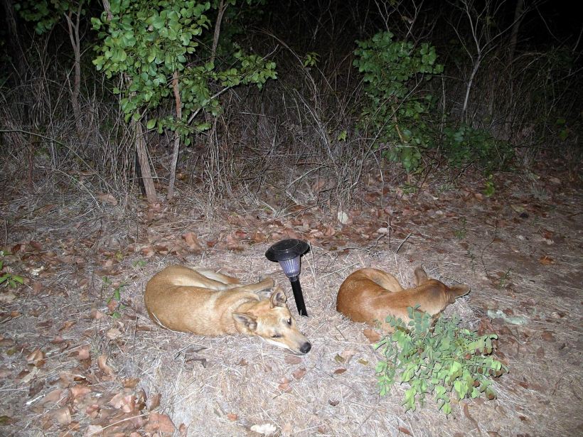 Resize of 08-05-2005 05 Ding Double Bed 2.JPG