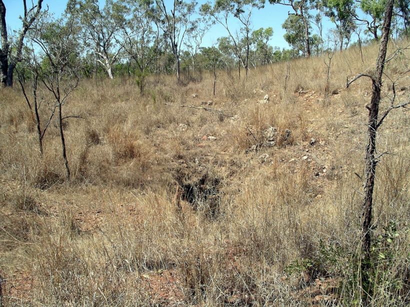 Resize of 08-08-2005 04 Cave Entrance 2.JPG
