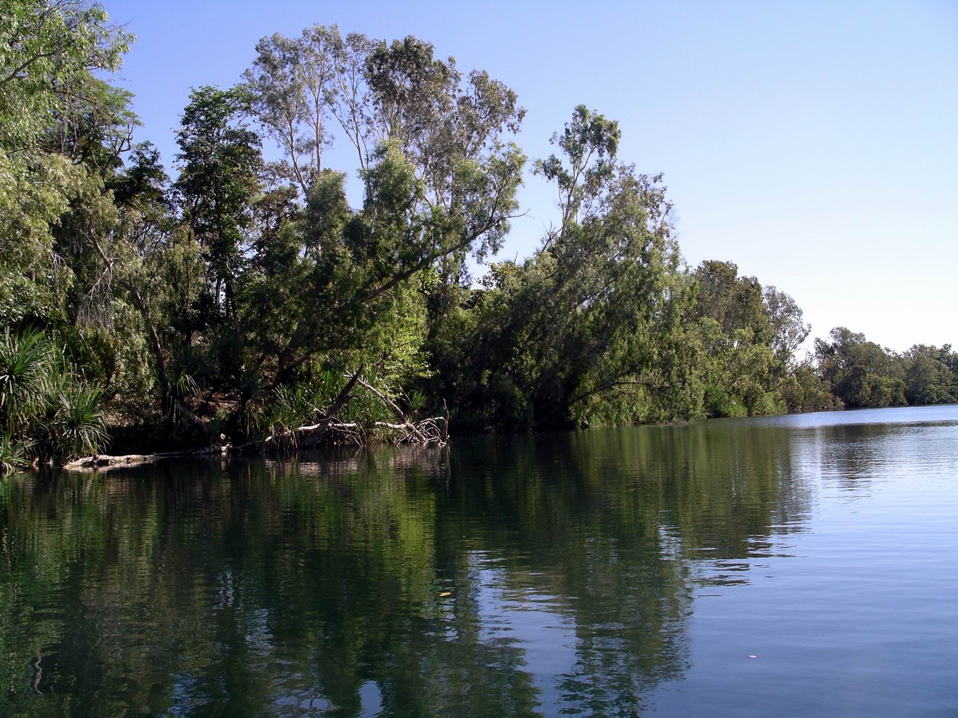 Resize of 08-08-2005 29 Bathtub Springs 14.JPG