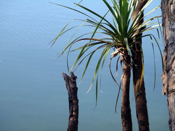 Resize of 08-08-2005 47 Bird and Bathtub Springs 30.JPG