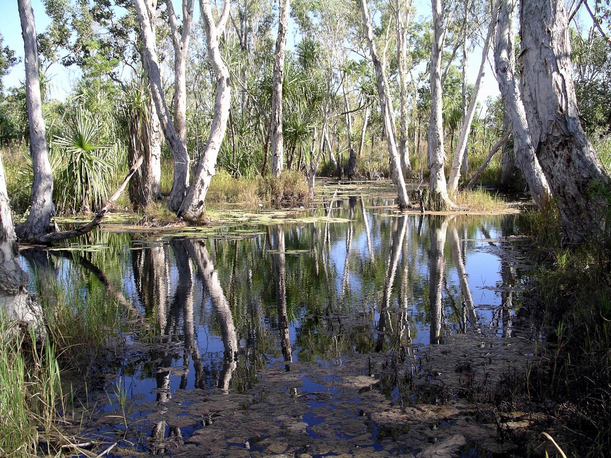 Resize of 08-08-2005 49 Bathtub Springs 33.JPG