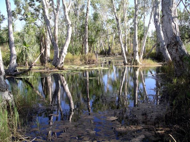 Resize of 08-08-2005 49 Bathtub Springs 33.JPG