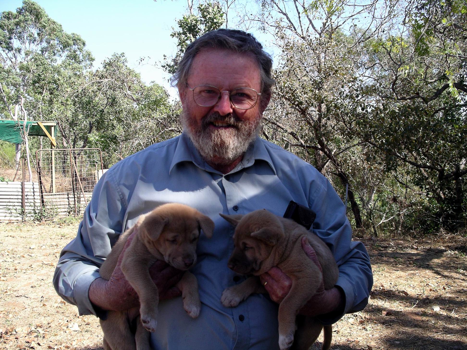 Resize of 08-13-2005 Ding Pups 2