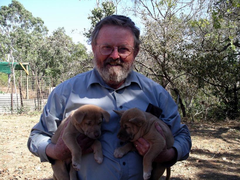 Resize of 08-13-2005 Ding Pups 2