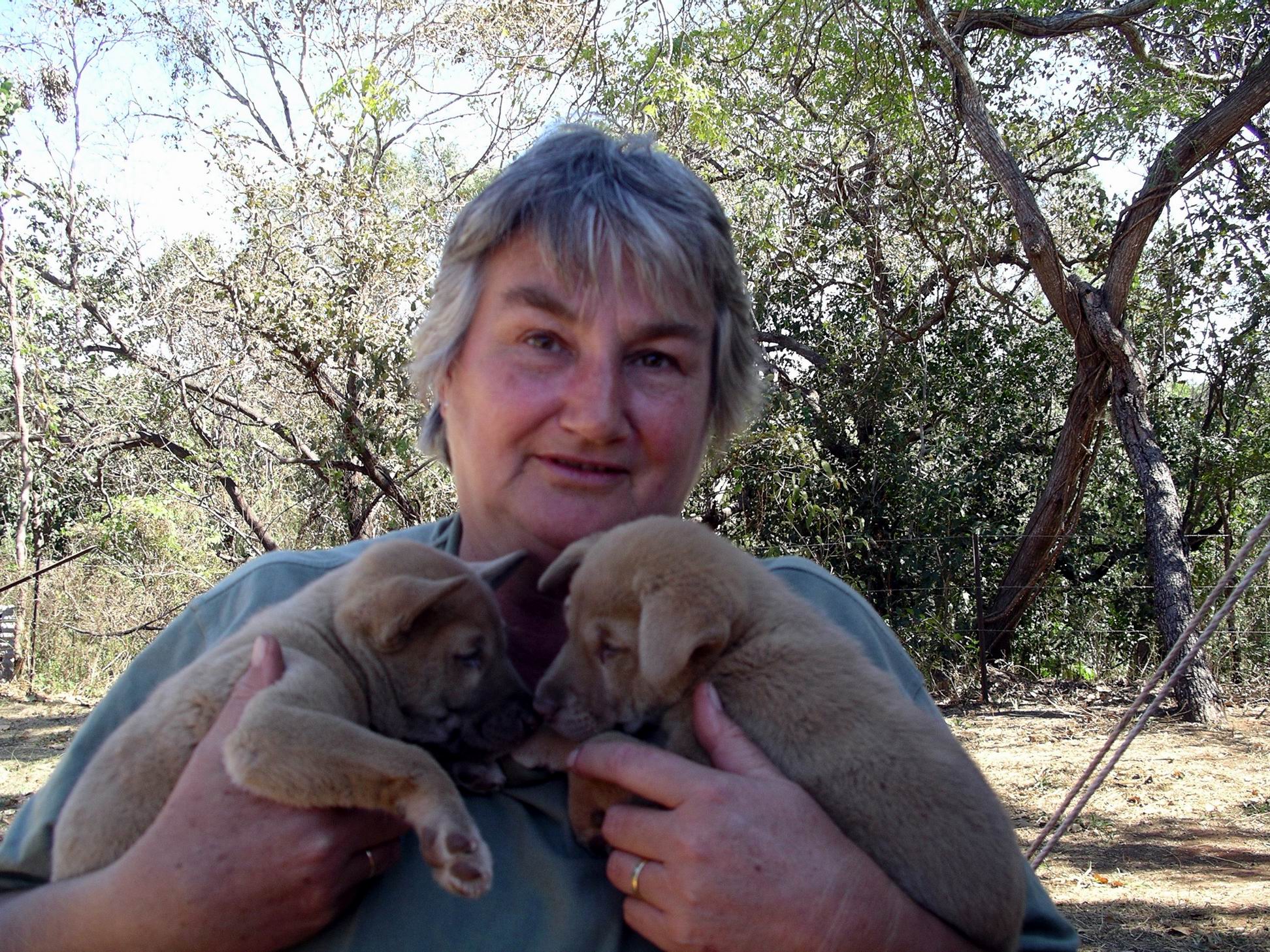 Resize of 08-13-2005 Ding Pups 6