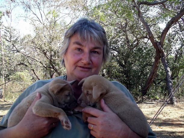 Resize of 08-13-2005 Ding Pups 6