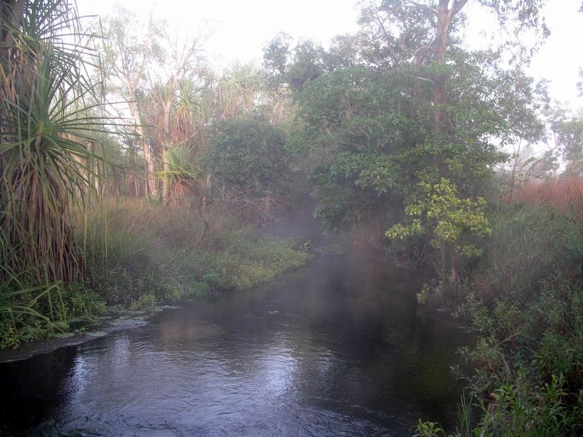 Resize of 08-15-2005 02 Pungalina Mist 2