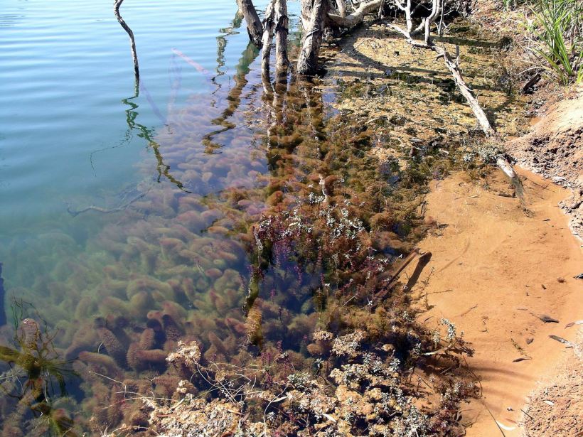 Resize of 08-16-2005 01 Clear Water