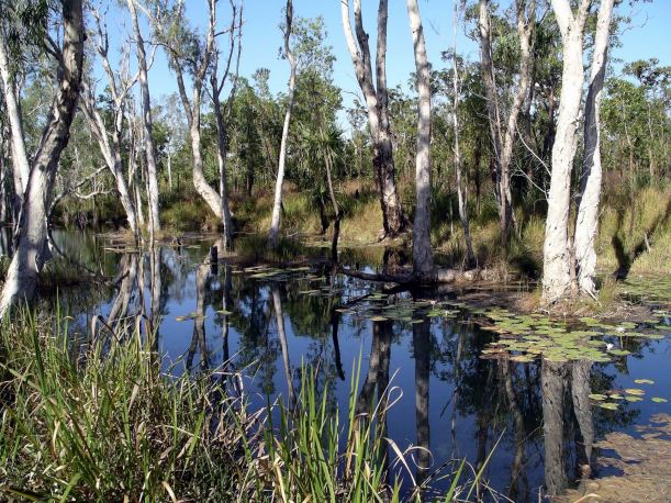 Resize of 08-16-2005 04 Bathtub Springs