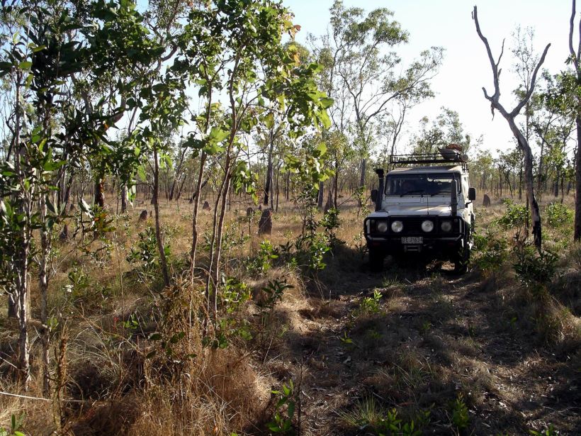 Resize of 08-16-2005 09 Ant City 4