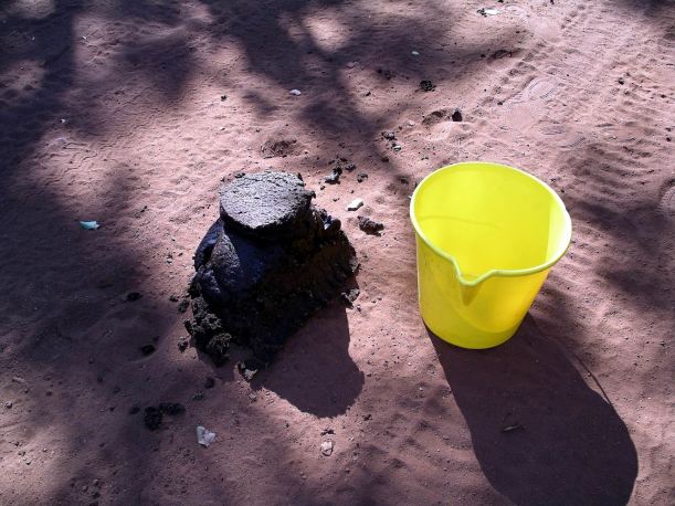 Resize of 08-17-2005 02 Buffalo Shit Size Comparison