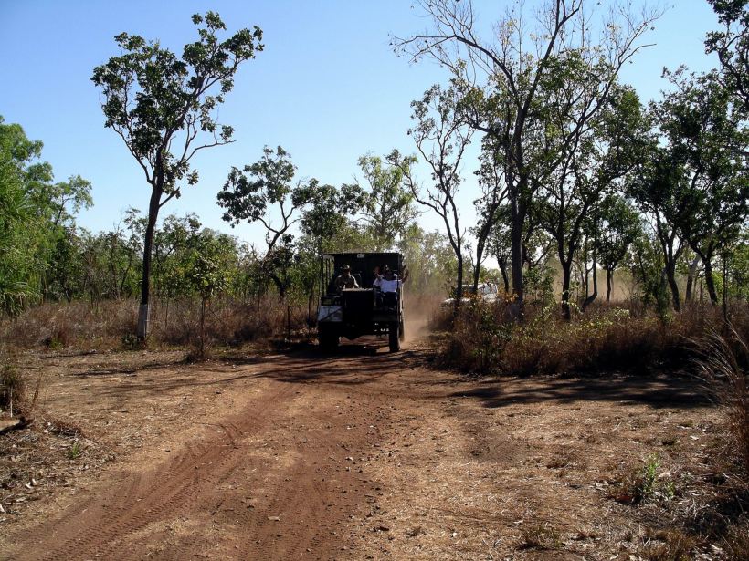 Resize of 08-23-2005 01 Billy Cart