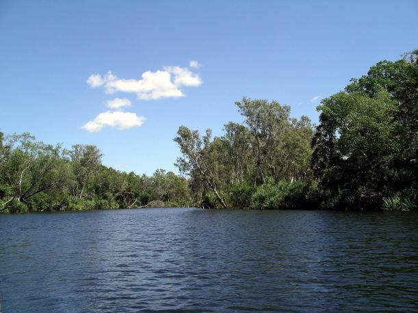 Resize of 08-30-2005 22 Croc Hole