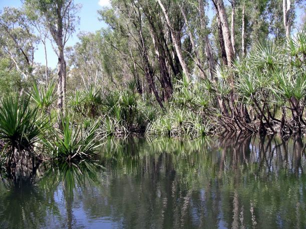 Resize of 08-30-2005 26 Croc Hole 5