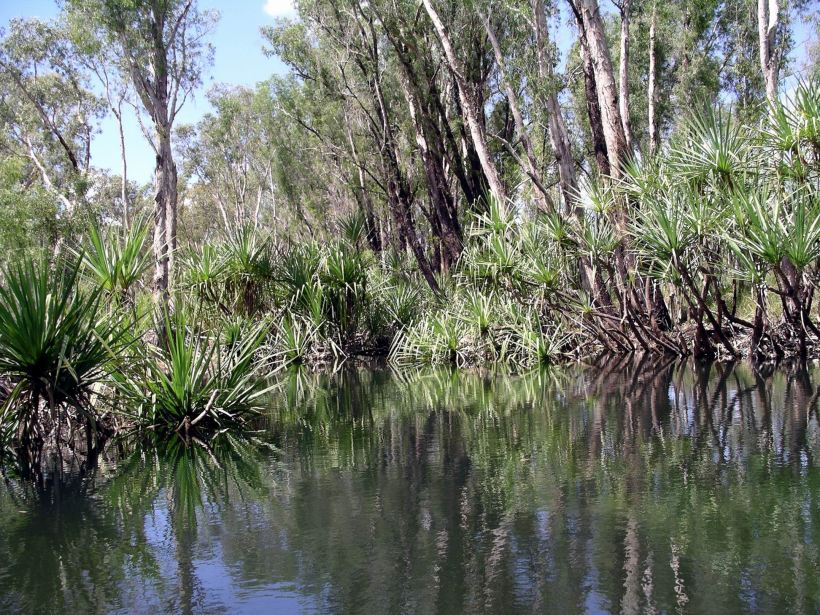 Resize of 08-30-2005 26 Croc Hole 5