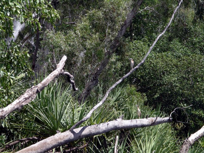 Resize of 08-30-2005 32 Croc Hole 11