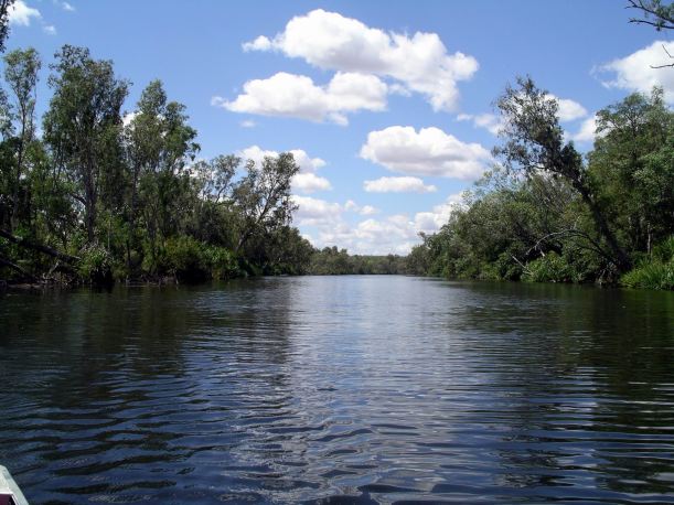 Resize of 08-30-2005 35 Croc Hole14