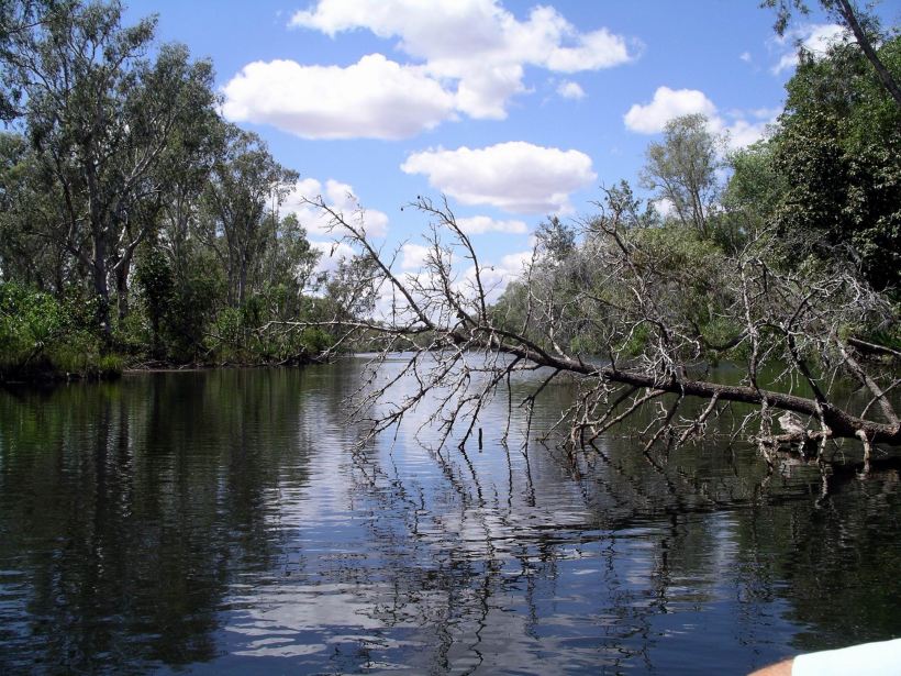 Resize of 08-30-2005 40 Croc Hole 19