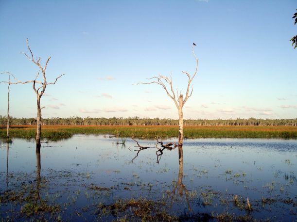 Resize of 08-30-2005 46 Jabiru 3