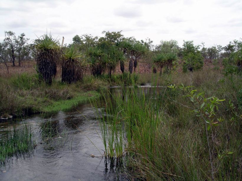 Resize of 09-10-2005 30 Creek By Ford.JPG