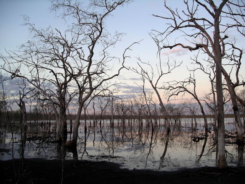 Resize of 06-03-2005 06 Wet Lands June 3