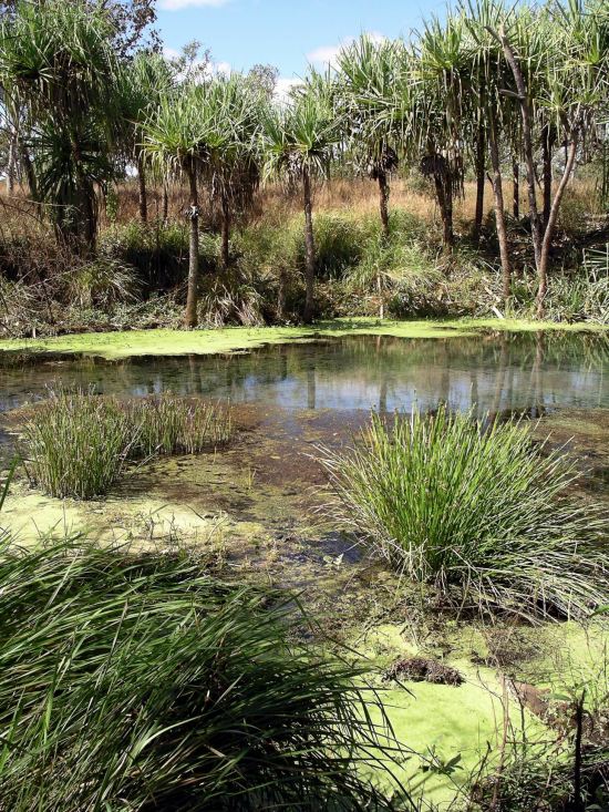 Resize of 06-12-2005 04 Bubbling Sands