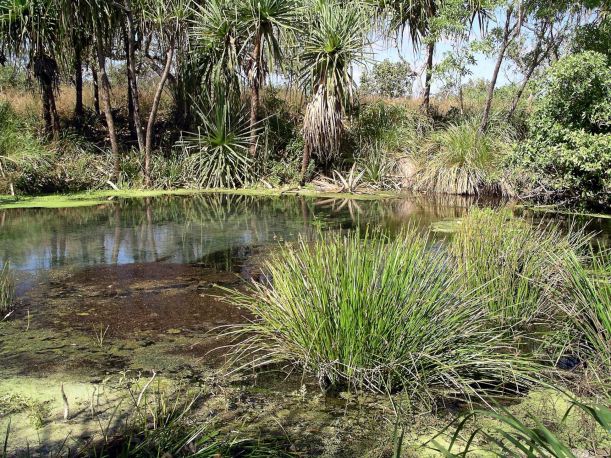 Resize of 06-12-2005 07 Bubbling Sands 4