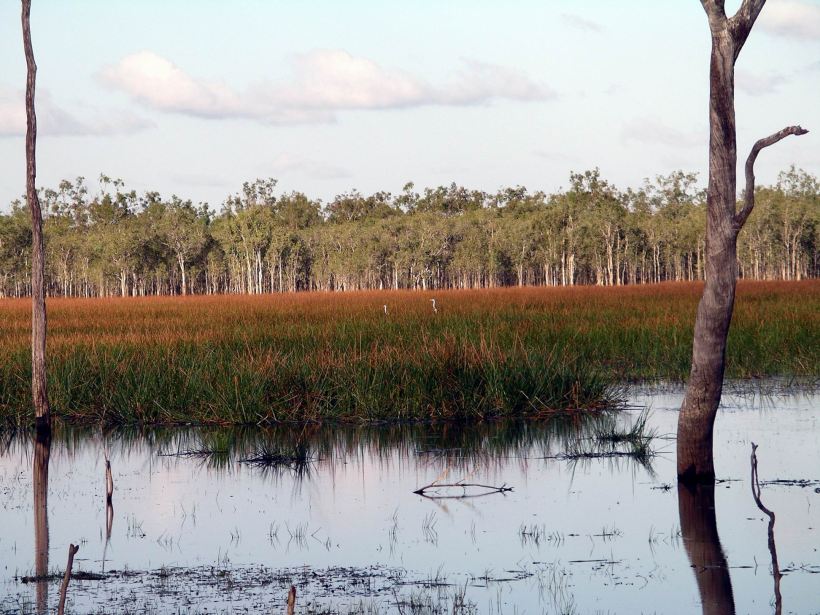 Resize of 08-30-2005 44 Jabiru