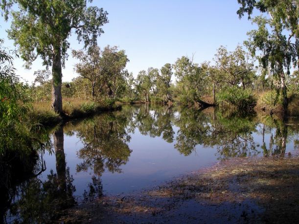 Resize of 08-31-2005 01 Mystery Shovel August