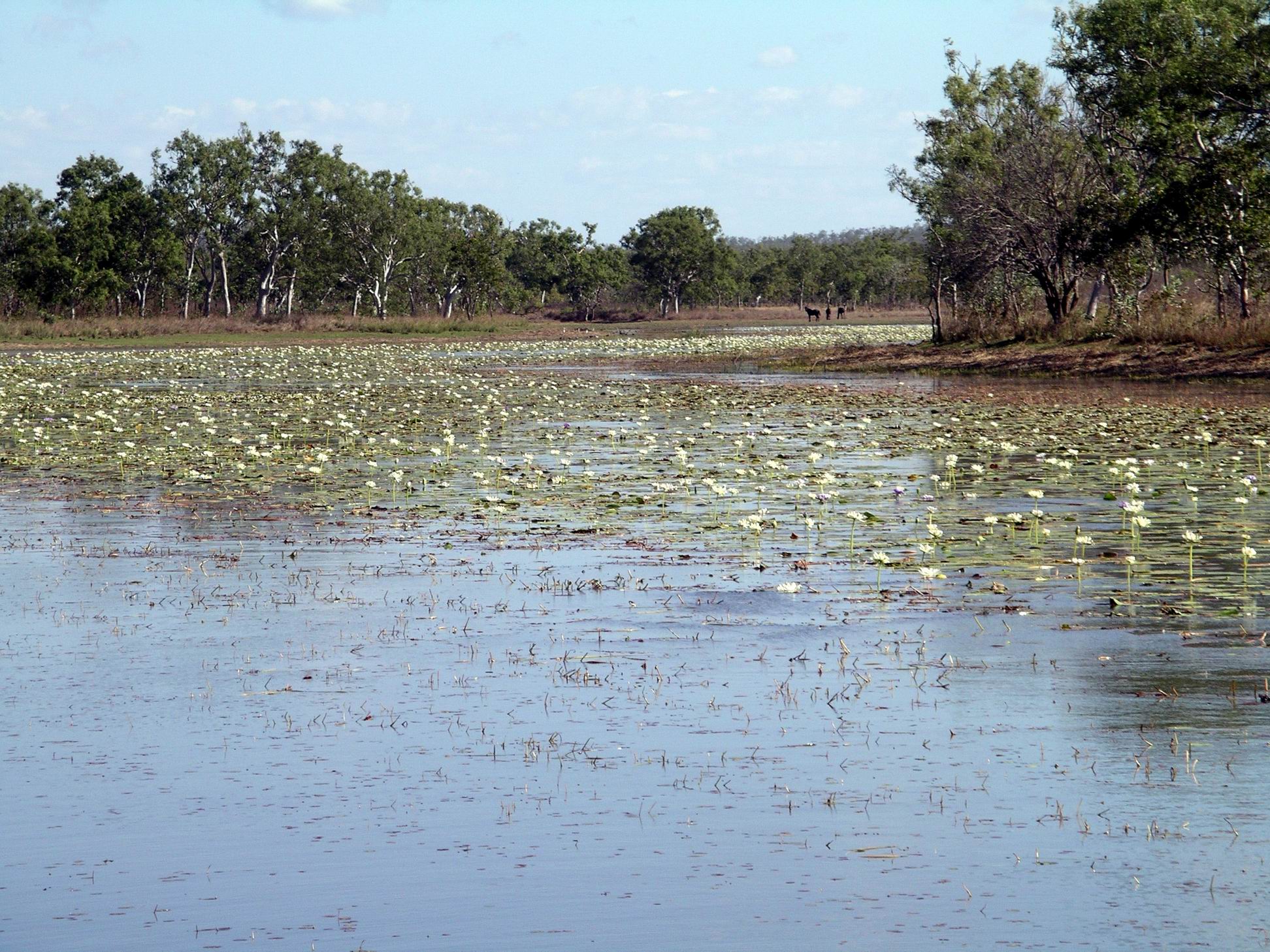 Resize of 08-31-2005 11 Stinking Lagoon August