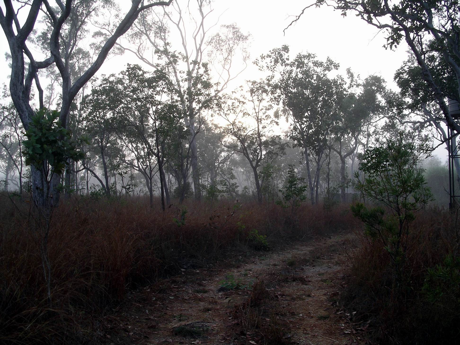 Resize of 09-04-2005 04 Misty Sept Morning 2