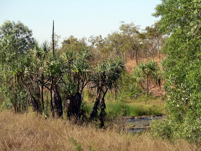 Resize of 09-09-2005 06 Camp Creek Sept 2