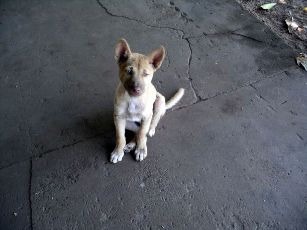 Resize of 09-09-2005 09 Little Dings