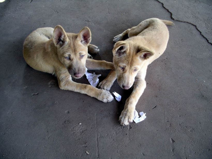 Resize of 09-09-2005 14 Little Dings 6