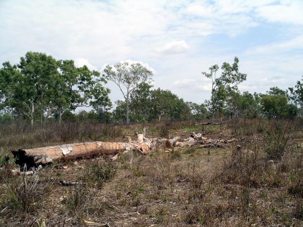 Resize of 09-10-2005 20 Bowl Material 2