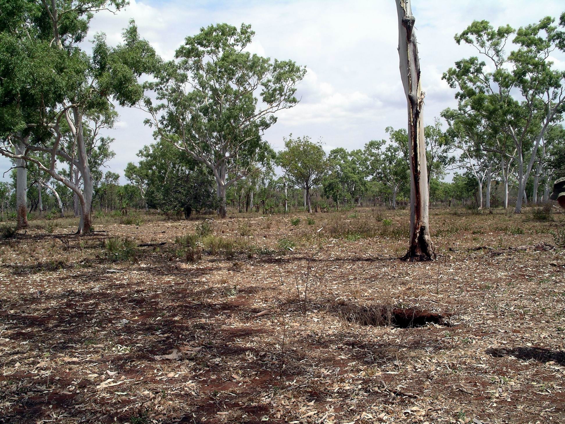 Resize of 09-10-2005 22 Sink Hole Sept