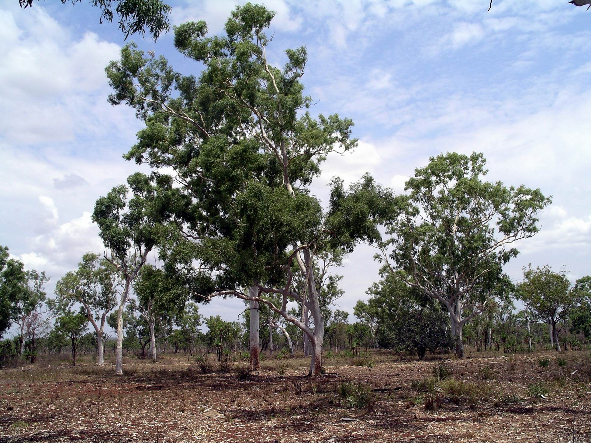 Resize of 09-10-2005 23 Sink Hole Sept 2