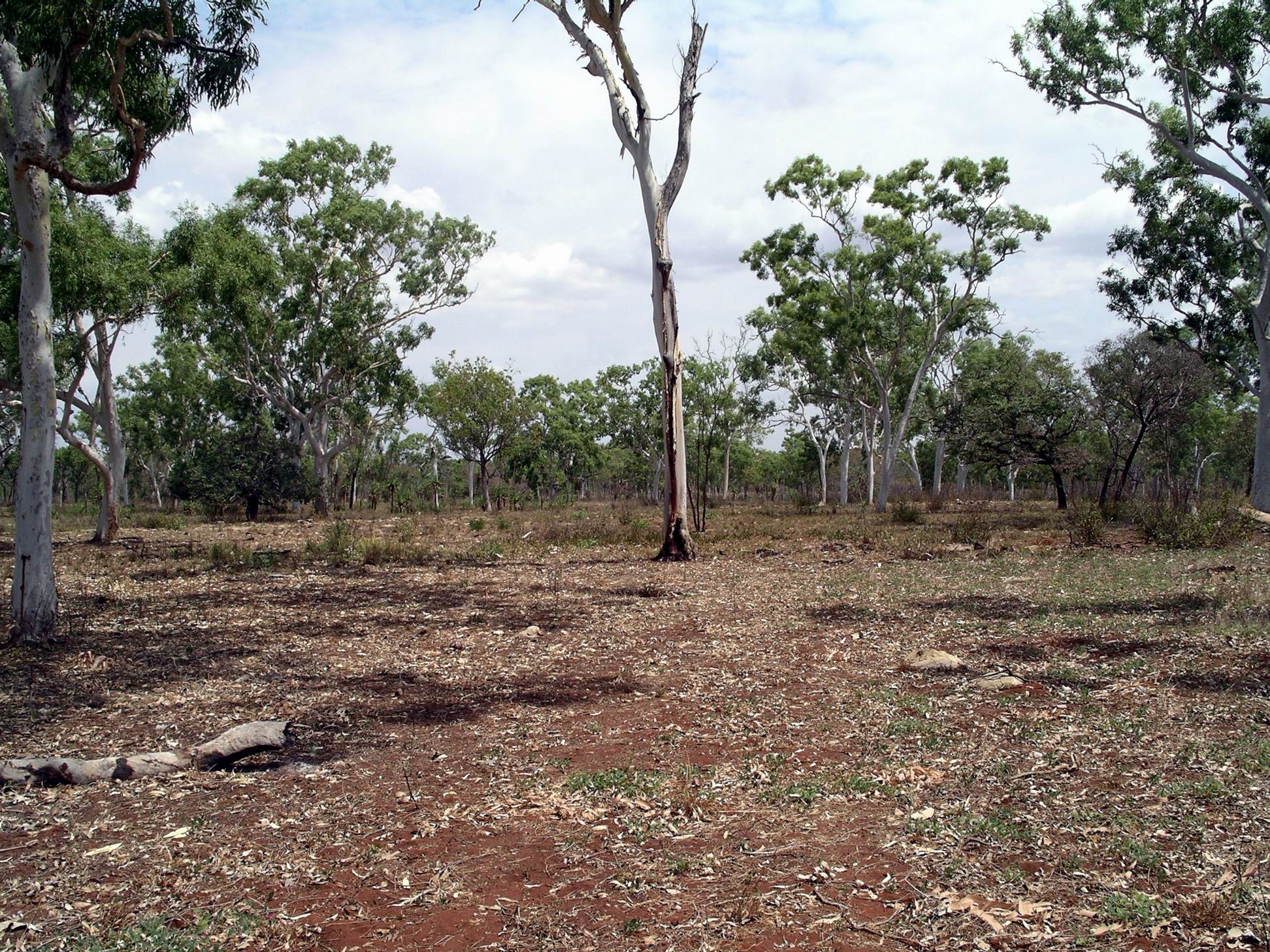 Resize of 09-10-2005 24 Sink Hole Sept 3