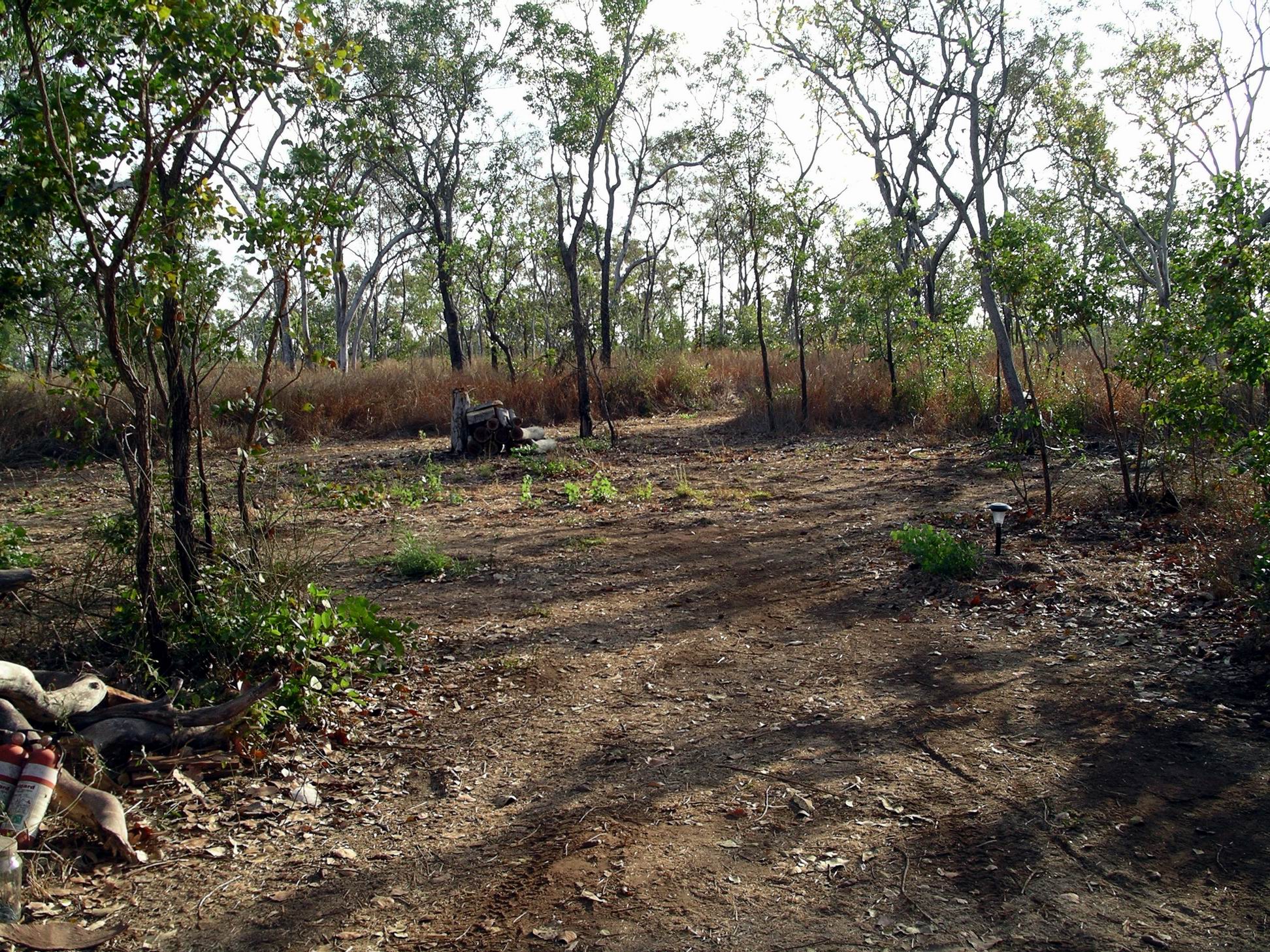 Resize of 09-12-2005 04 Empty Cane Toad Clearing
