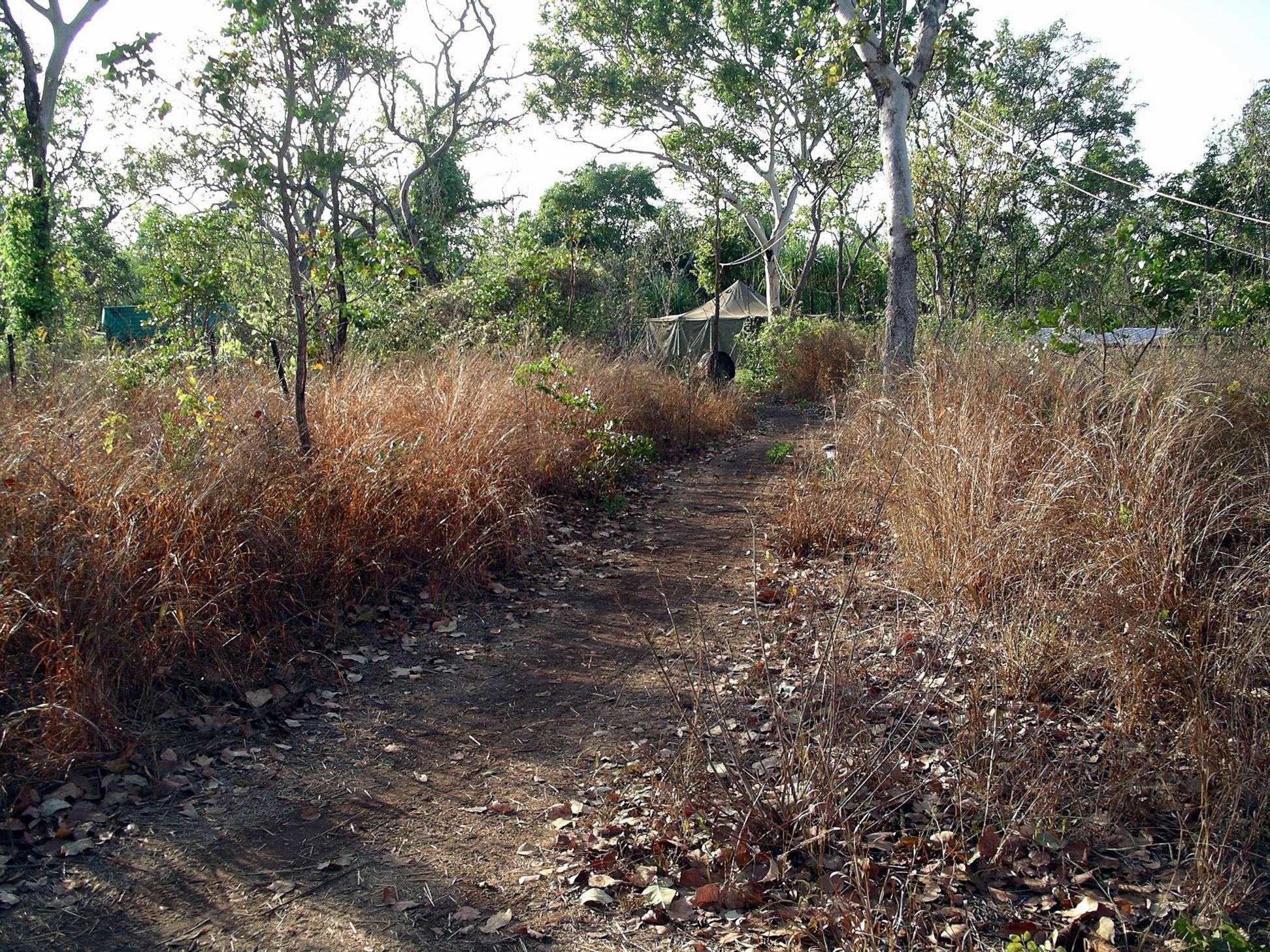 Resize of 09-12-2005 05 path to safari camp well worn