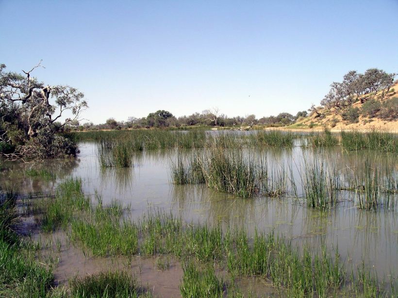 Resize of 09-20-2005 11 Mugerannie RH wetlands