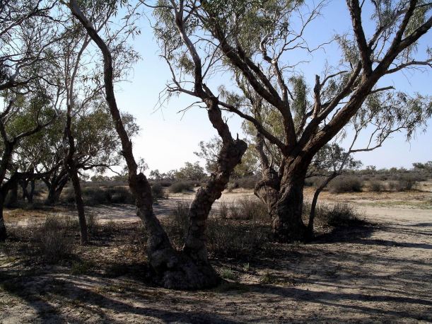 Resize of 09-20-2005 19 Camp in Coopers Creek crossing